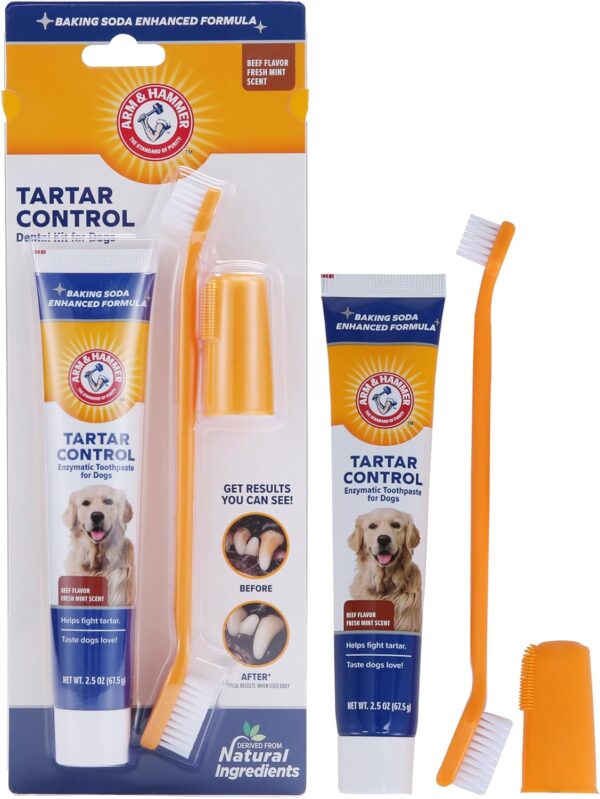 Arm & Hammer Dog Dental Care Kit – Beef Flavor